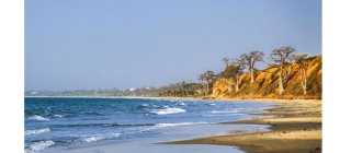 Новые отзывы туристов про отдых в Гамбии: безопасность, стоимость, отели