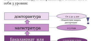 Обучение в Израиле: как работает система образования в 2022 году