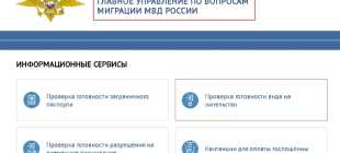 Как получить вид на жительство в России гражданину Казахстана: перечень документов, порядок оформления