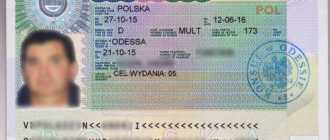 Требования к рабочей визе в Польшу в 2022 году