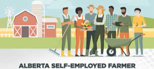 Подробно про стрим Alberta Self-Employed Farmer