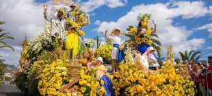 Мадейра — достопримечательности. Или 6 причин для путешествия на Мадейру. Как С Добром Добраться!