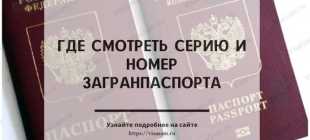 Номер и серия загранпаспорта: где можно посмотреть