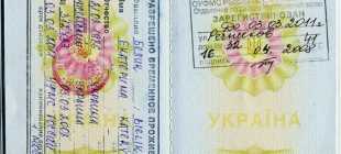 РВП для граждан Украины: способы как получить и оформить документы на временное проживание в РФ, порядок и правила получения, продление
