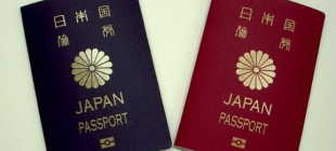Способы получения гражданства Японии в 2022 году