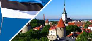 Виза в Эстонию для россиян: нужна ли в 2022 году, как получить самостоятельно, сколько стоит, требования к документам, анкете и фото
