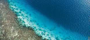 Фото Белизского Барьерного рифа (126 фото)