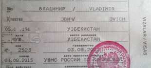 Что делать после получения РВП в 2022 году: порядок действий