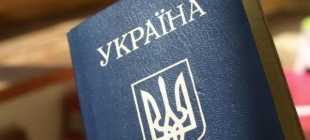 Заявление отказ от гражданства Украины, образец, бланк, куда подавать в 2022 году