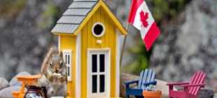 Стоит ли переезжать в Канаду – варианты переезда, гражданство, работа, цены