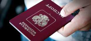 Основания для прекращения гражданства РФ: порядок, перечень документов для отказа